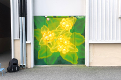 Cabel, Cabelone, Göteborg,  Graffiti, Mural, Streetart